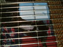 Filename=DSCF0026.JPG
Filesize=296KiB
Dimensions=1280x960
Date added=Jul 31, 2011 DSCF0026.JPG
