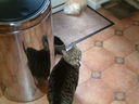 DSCF0054.JPG