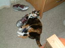 DSCF0056.JPG