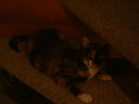 DSCF0062.JPG