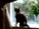 DSCF0064.JPG