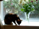 DSCF0065.JPG