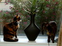 Filename=DSCF0080.JPG
Filesize=292KiB
Dimensions=1280x960
Date added=Jul 31, 2011 DSCF0080.JPG